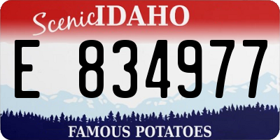 ID license plate E834977