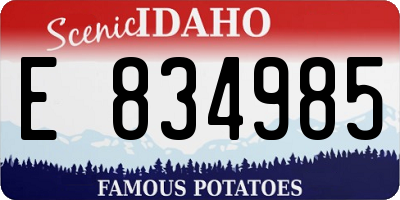 ID license plate E834985