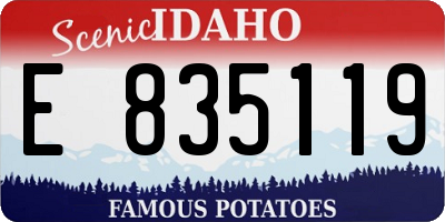 ID license plate E835119