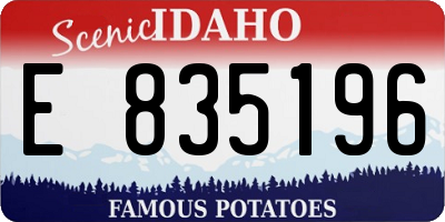 ID license plate E835196