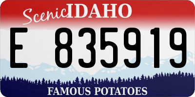 ID license plate E835919