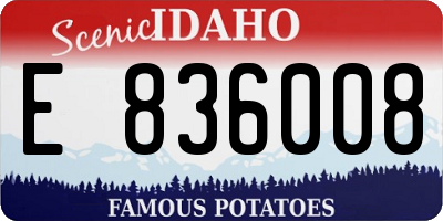 ID license plate E836008