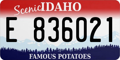 ID license plate E836021
