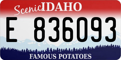 ID license plate E836093