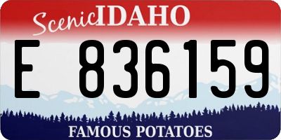 ID license plate E836159