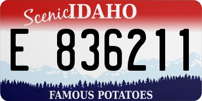 ID license plate E836211