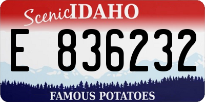 ID license plate E836232