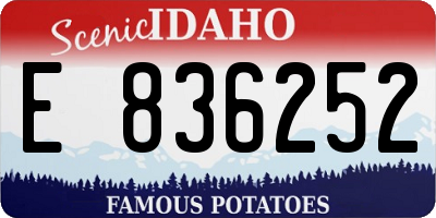 ID license plate E836252