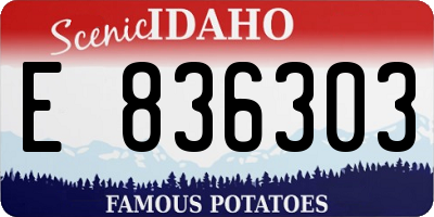 ID license plate E836303