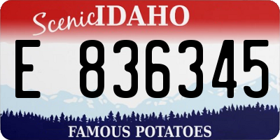 ID license plate E836345