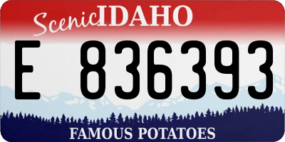 ID license plate E836393