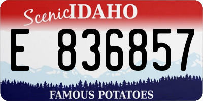 ID license plate E836857