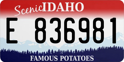 ID license plate E836981