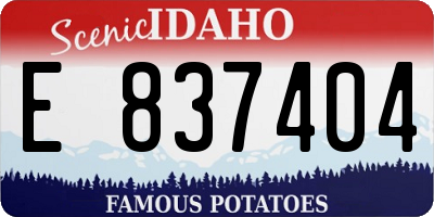 ID license plate E837404