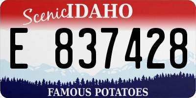 ID license plate E837428