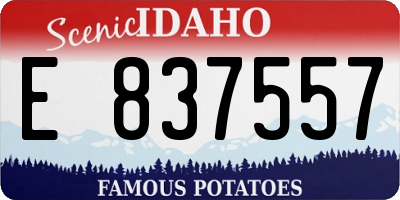 ID license plate E837557