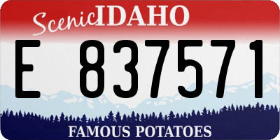 ID license plate E837571