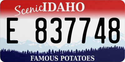ID license plate E837748