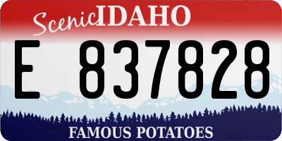 ID license plate E837828