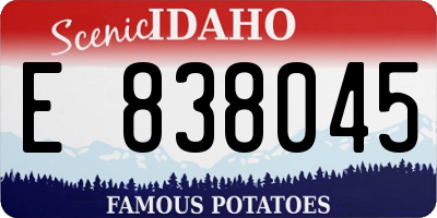 ID license plate E838045