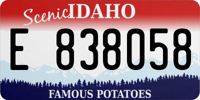 ID license plate E838058