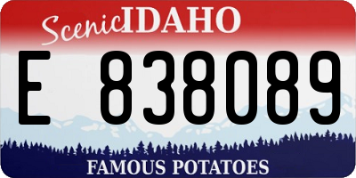 ID license plate E838089