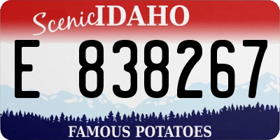 ID license plate E838267