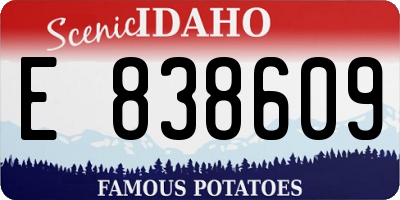 ID license plate E838609