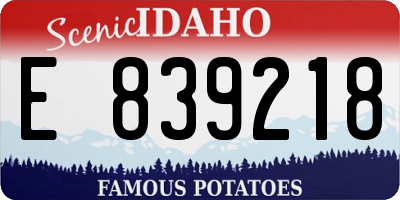 ID license plate E839218