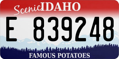 ID license plate E839248