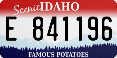 ID license plate E841196