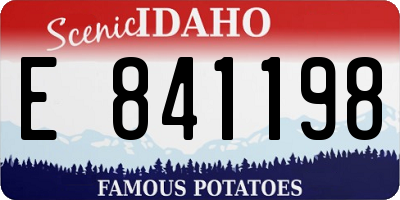 ID license plate E841198