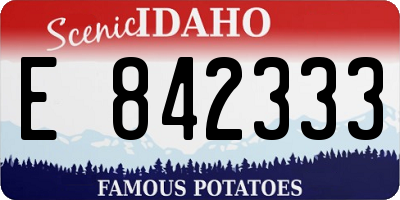 ID license plate E842333