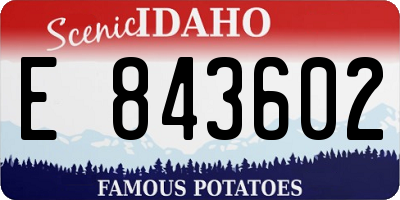 ID license plate E843602