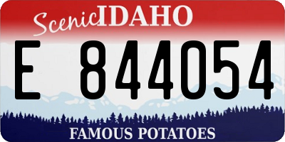 ID license plate E844054
