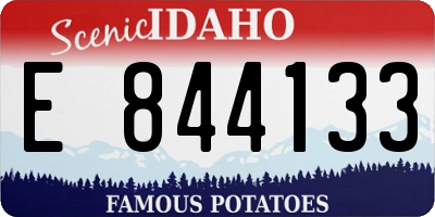 ID license plate E844133