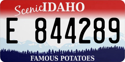 ID license plate E844289