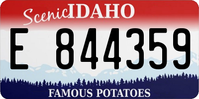 ID license plate E844359