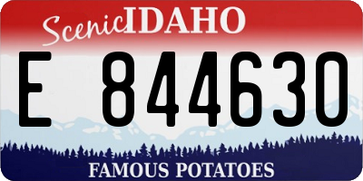 ID license plate E844630
