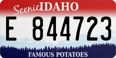 ID license plate E844723