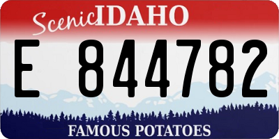 ID license plate E844782