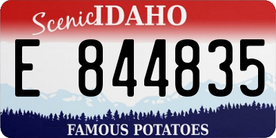 ID license plate E844835