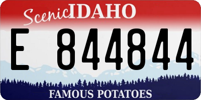 ID license plate E844844