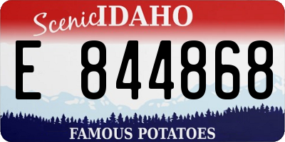 ID license plate E844868