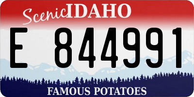 ID license plate E844991