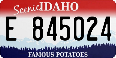 ID license plate E845024