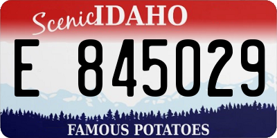 ID license plate E845029