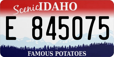 ID license plate E845075