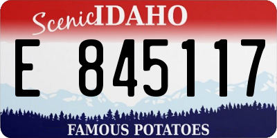 ID license plate E845117