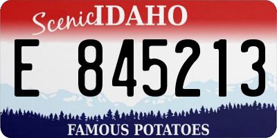 ID license plate E845213
